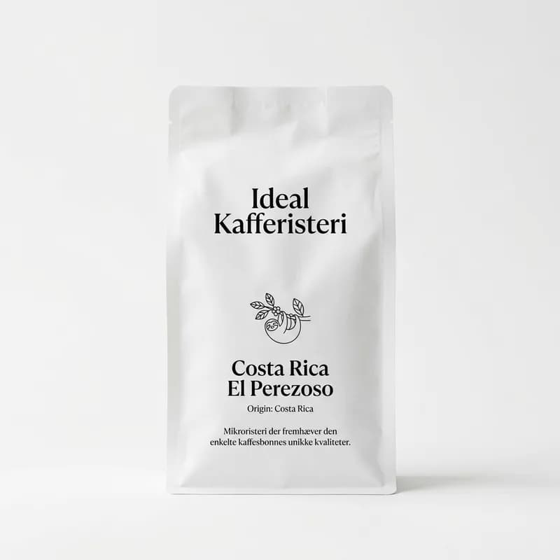 Costa Rica El Perezoso